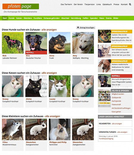 Tierheim Homepage Webdesign für Tierheime