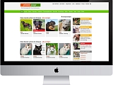 Mit einer <span class='isHighlighted'>pfotenpage</span> können Sie als Tierschutzverein 